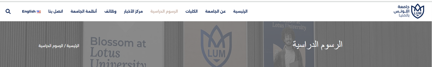 مصاريف جامعة اللوتس بالمنيا 2025-2026